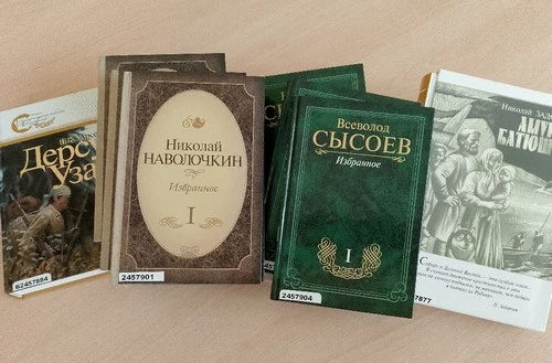 «Издано в Хабаровском крае». Выставка к Всероссийскому дню чтения