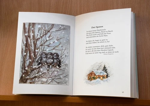 Книжная выставка «В ожидании снега»