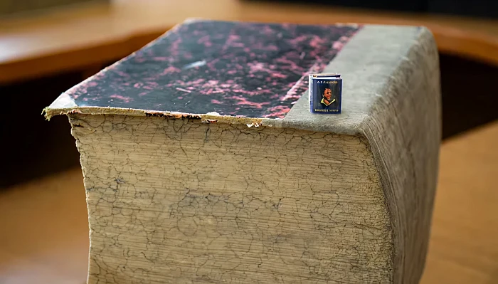 Детская экскурсия «Знакомство с Белинкой»