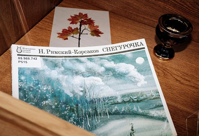 «Литературный мир Александра Островского»